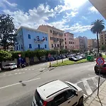 Siesta Terra New