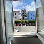 Siesta Terra New