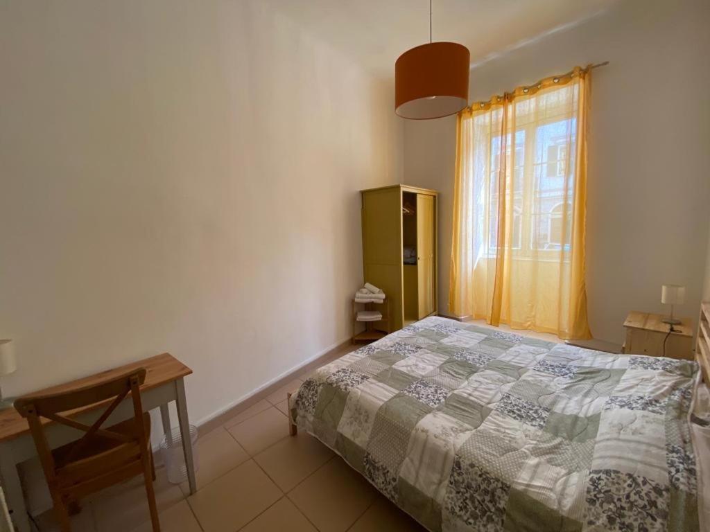 Siesta Terra New