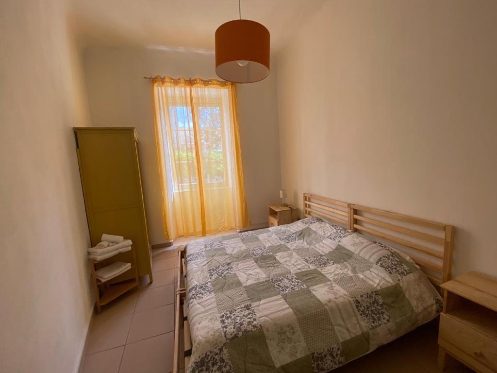 Siesta Terra New *